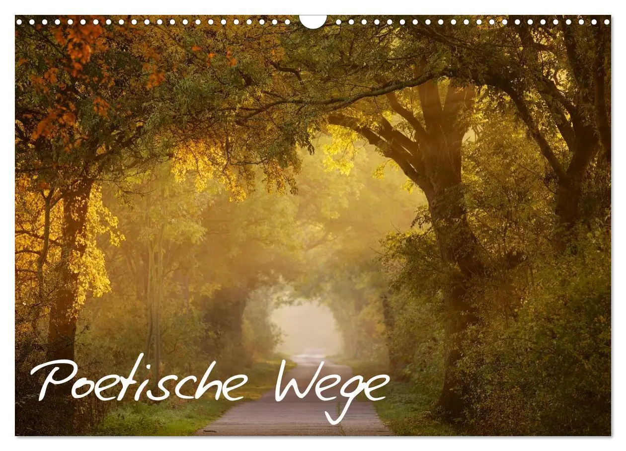 Cover: 9783516154443 | Poetische Wege (Wandkalender 2026 DIN A3 quer), CALVENDO...