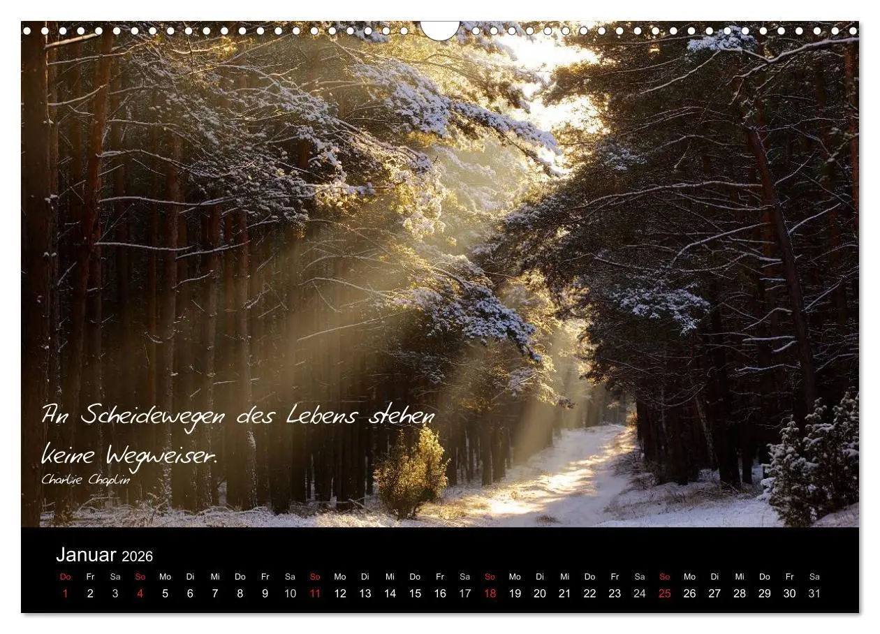 Bild: 9783516154443 | Poetische Wege (Wandkalender 2026 DIN A3 quer), CALVENDO...