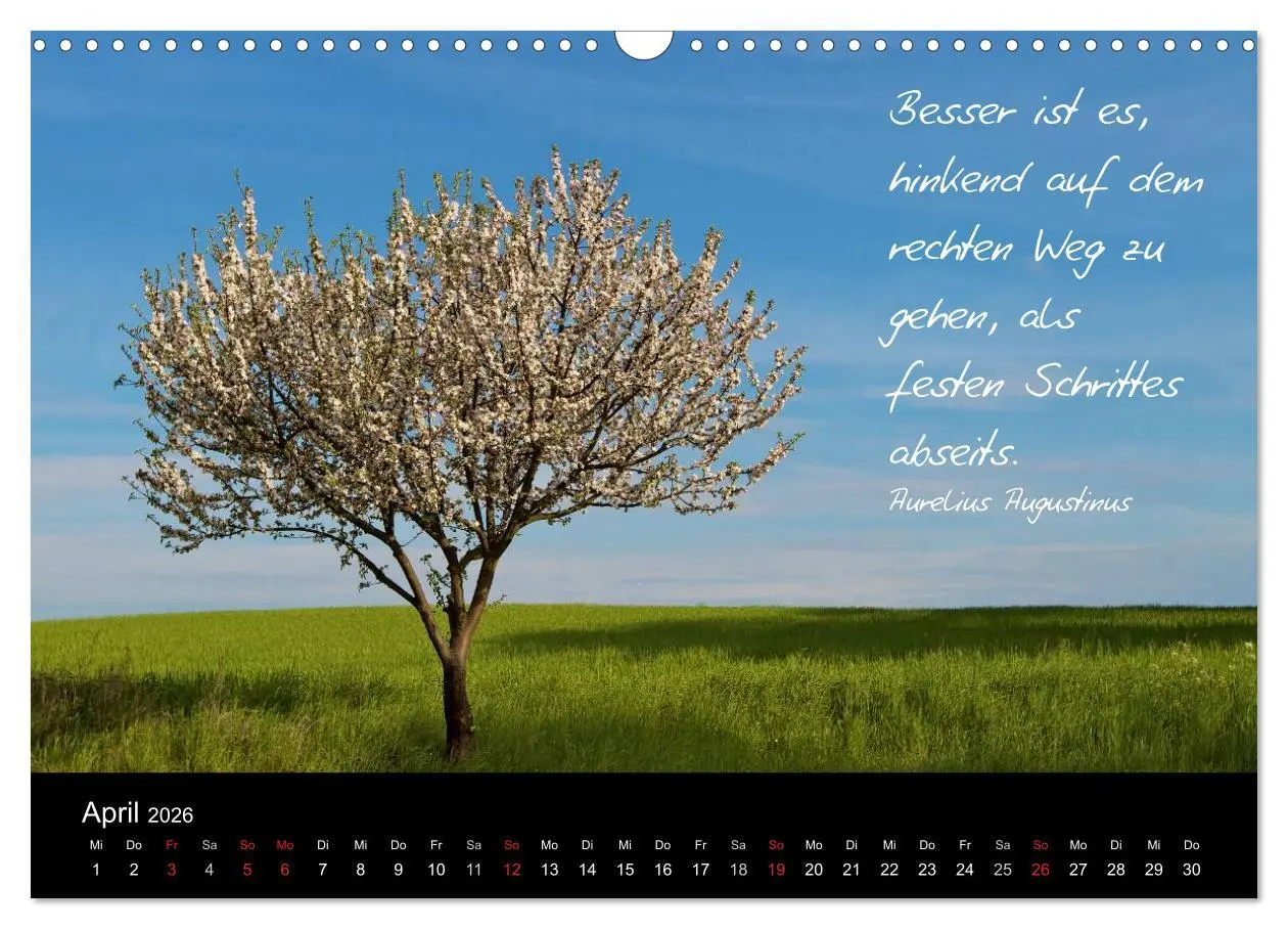 Bild: 9783516154443 | Poetische Wege (Wandkalender 2026 DIN A3 quer), CALVENDO...