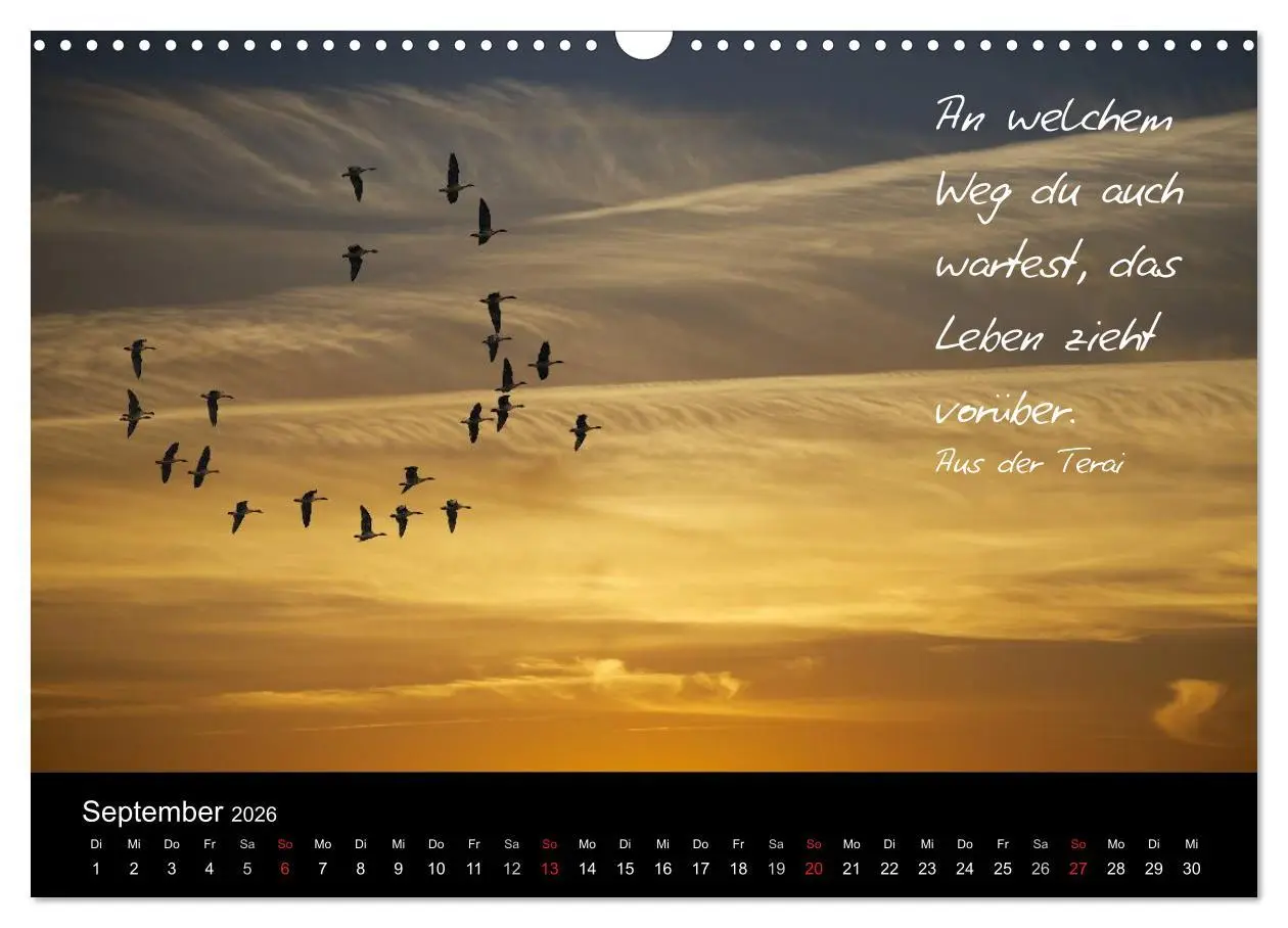 Bild: 9783516154443 | Poetische Wege (Wandkalender 2026 DIN A3 quer), CALVENDO...