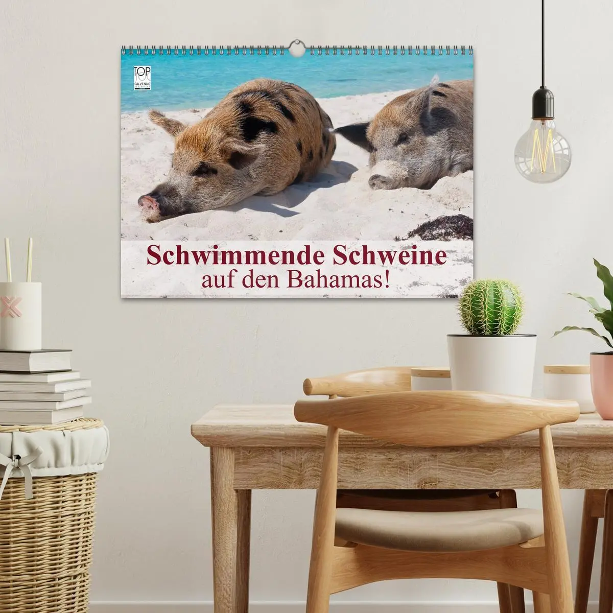 Bild: 9783516224443 | Schwimmende Schweine auf den Bahamas! (Wandkalender 2026 DIN A3...