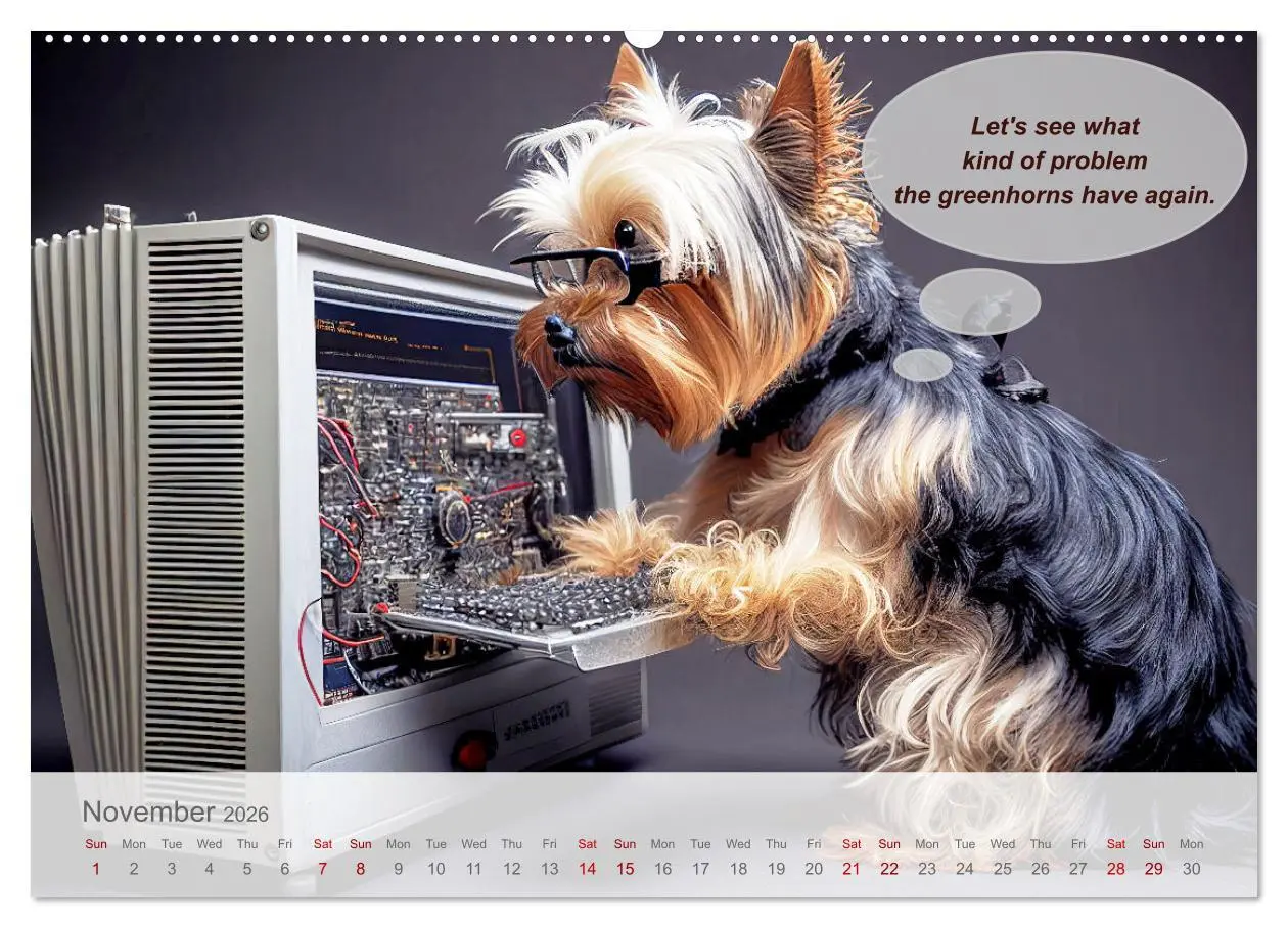 Bild: 9783516534443 | You really think you are an IT expert (Wall Calendar 2026 DIN A2...
