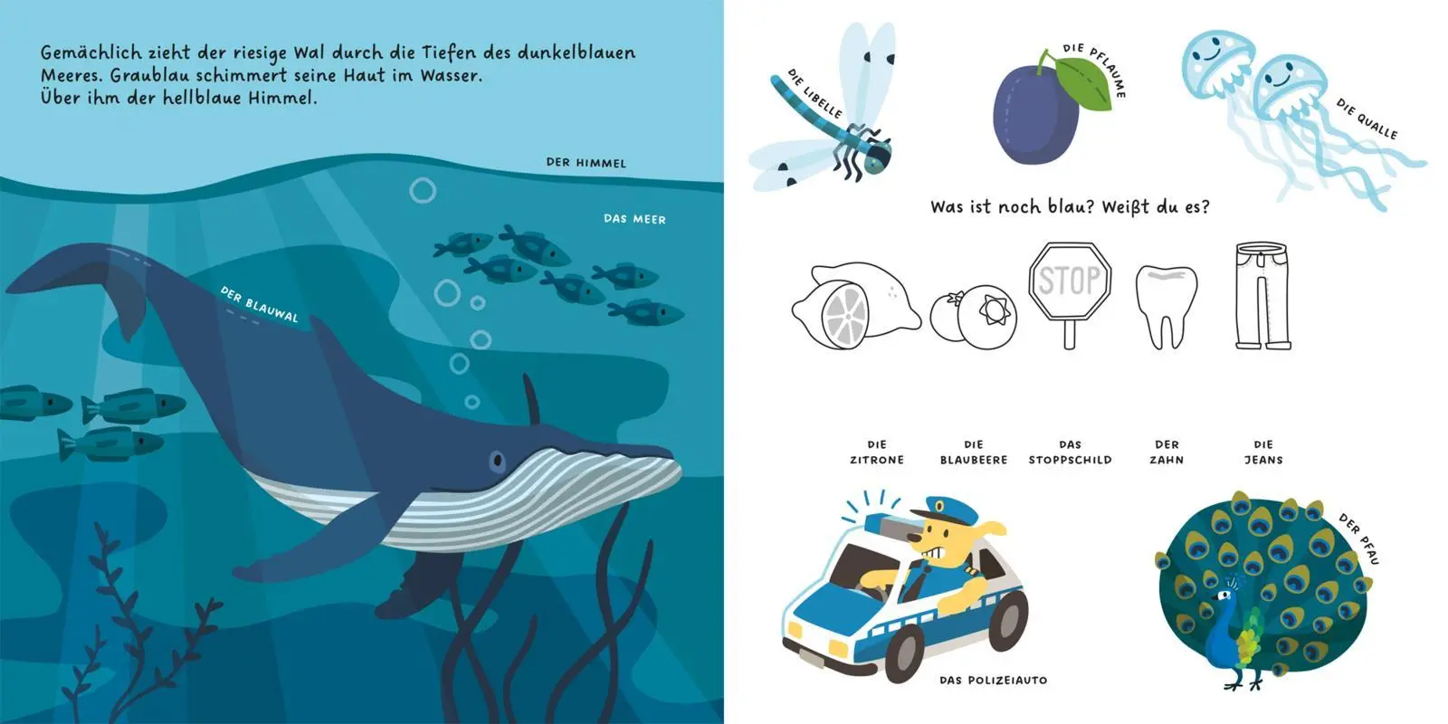 Bild: 9783551254443 | Kennst du die Farben? | Kathrin Wessel | Buch | 14 S. | Deutsch | 2025
