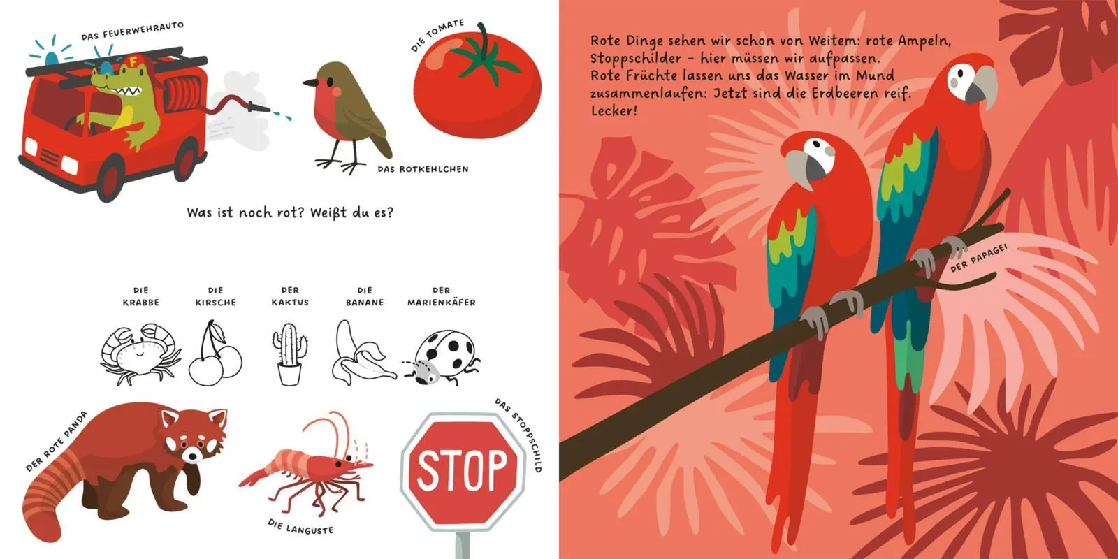 Bild: 9783551254443 | Kennst du die Farben? | Kathrin Wessel | Buch | 14 S. | Deutsch | 2025