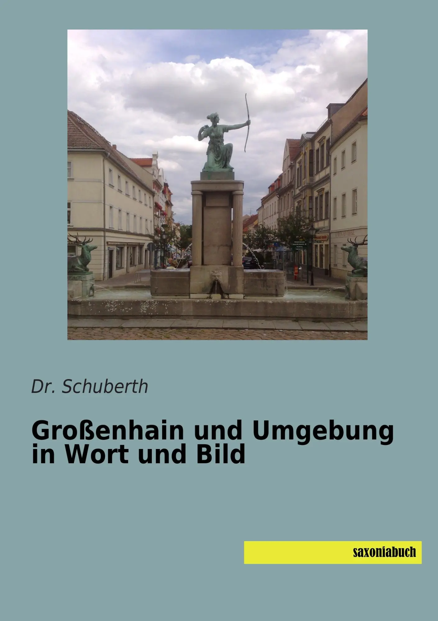 Cover: 9783957704443 | Großenhain und Umgebung in Wort und Bild | Schuberth | Taschenbuch