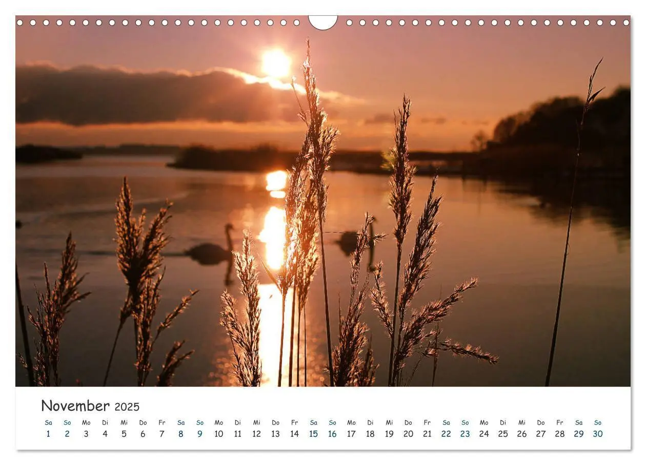 Bild: 9783435414543 | Südost Rügen 2025 (Wandkalender 2025 DIN A3 quer), CALVENDO...