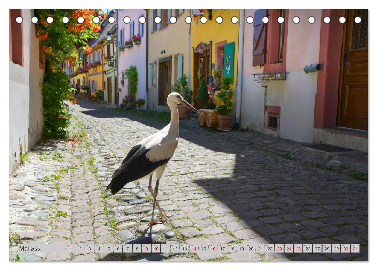 Bild: 9783457434543 | Frankreichs idyllische Dörfer (Tischkalender 2026 DIN A5 quer),...