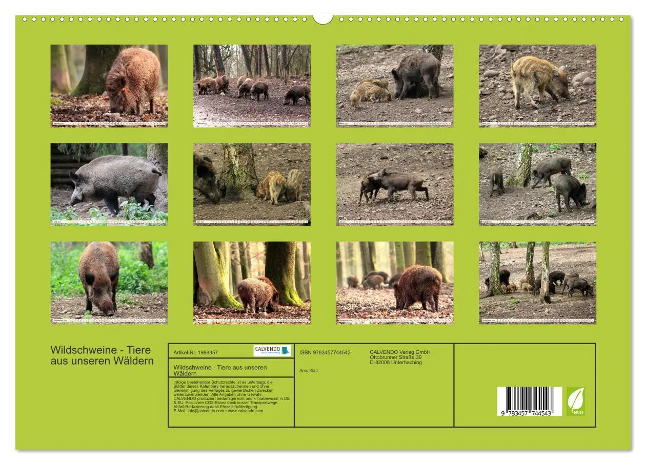 Bild: 9783457744543 | Wildschweine - Tiere aus unseren Wäldern (hochwertiger Premium...