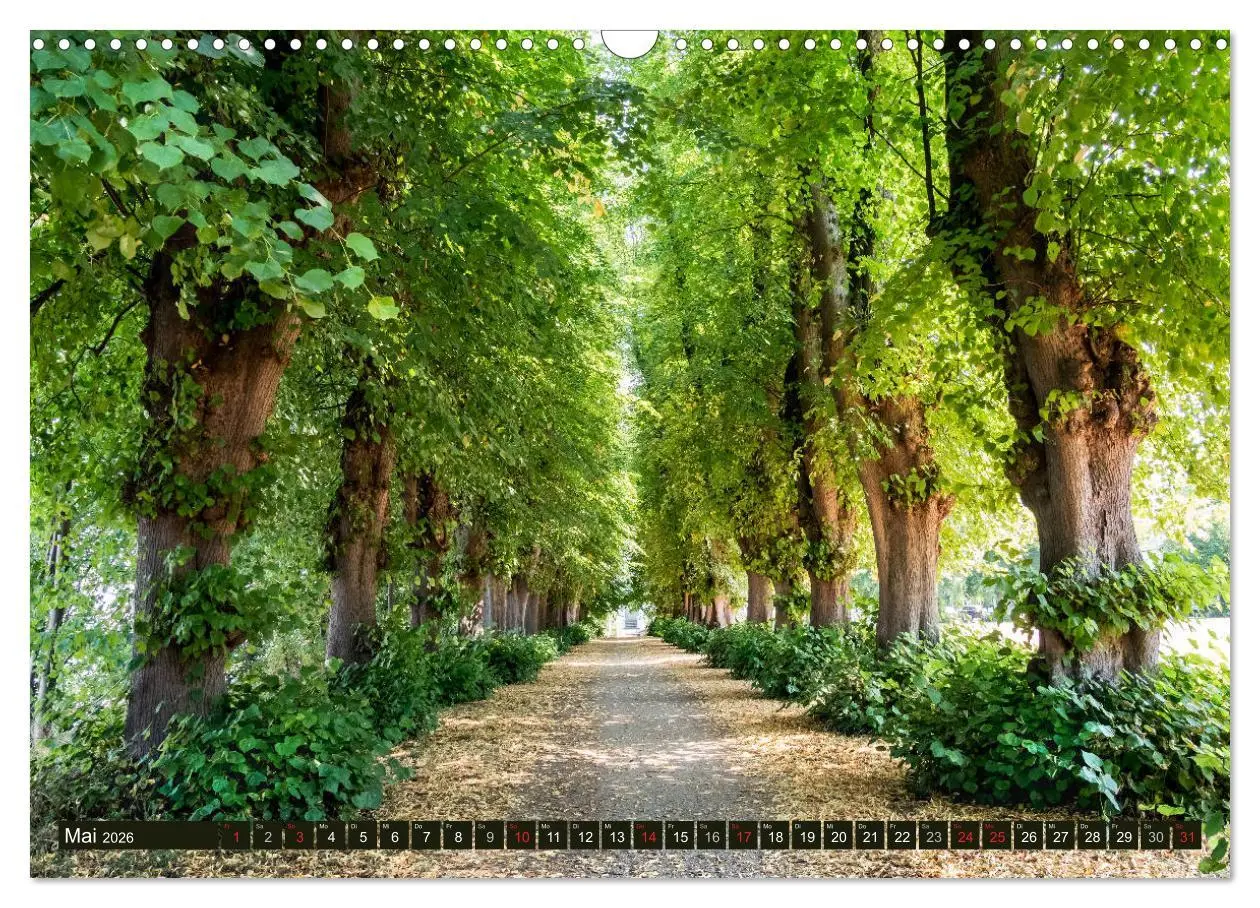 Bild: 9783457814543 | Holsteinische Schweiz - Fünf-Seen-Landschaft (Wandkalender 2026 DIN...