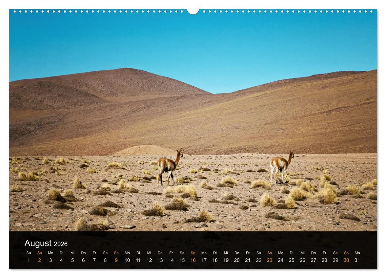 Bild: 9783516074543 | Atacama: Die Wüste im Norden Chiles (Wandkalender 2026 DIN A2...