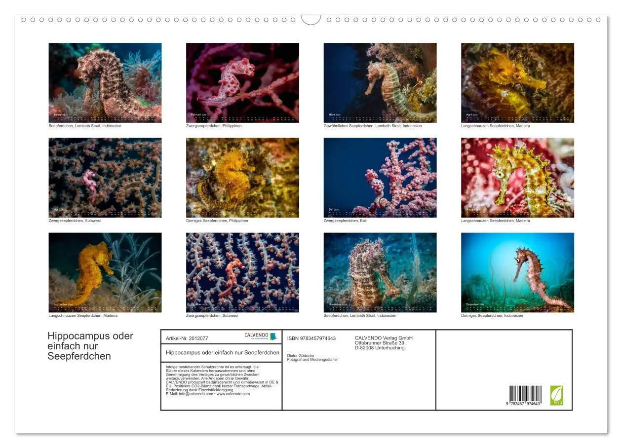 Bild: 9783457974643 | Hippocampus oder einfach nur Seepferdchen (Wandkalender 2026 DIN A2...