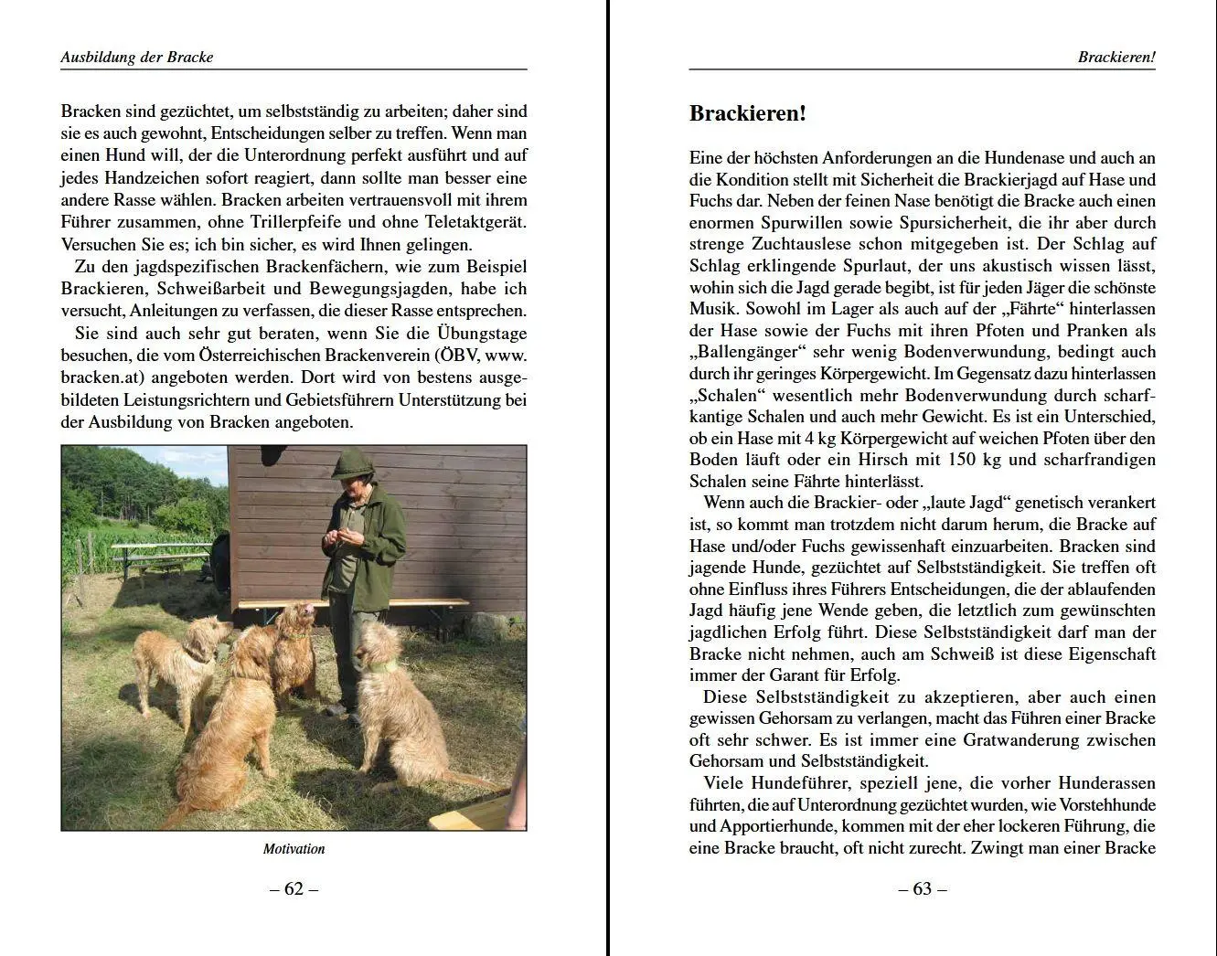 Bild: 9783702014643 | Darum Bracken! | Der ideale Hund für Bewegungsjagd und Nachsuche
