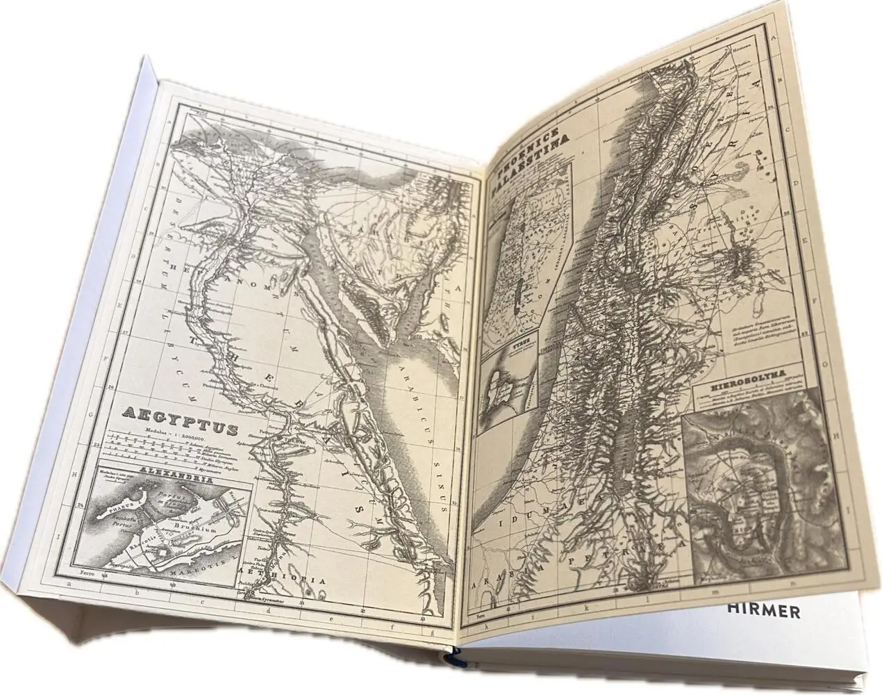 Bild: 9783777434643 | Krokodilopolis | Roman | Pavel Feinstein | Buch | 221 S. | Deutsch