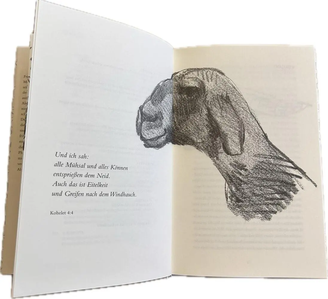Bild: 9783777434643 | Krokodilopolis | Roman | Pavel Feinstein | Buch | 221 S. | Deutsch