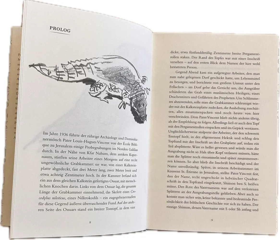 Bild: 9783777434643 | Krokodilopolis | Roman | Pavel Feinstein | Buch | 221 S. | Deutsch