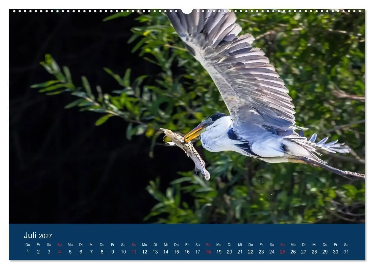 Bild: 9783594104743 | Brasilien tierisch gut 2027 (Wandkalender 2027 DIN A2 quer),...