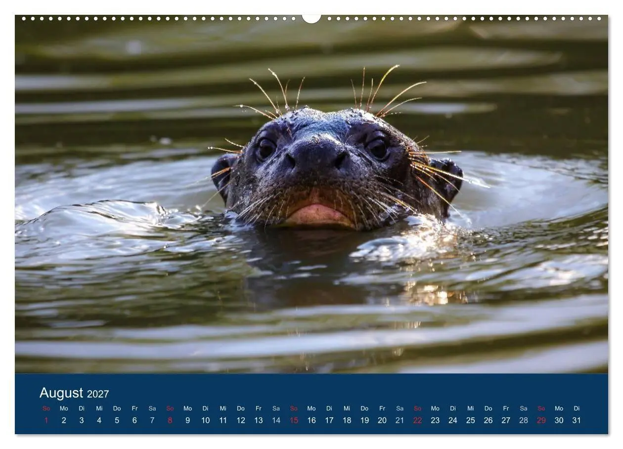 Bild: 9783594104743 | Brasilien tierisch gut 2027 (Wandkalender 2027 DIN A2 quer),...