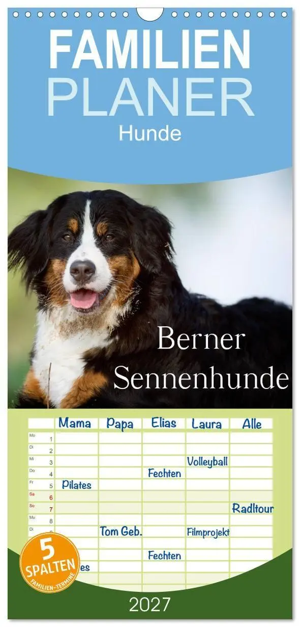 Familienplaner 2027 - Berner Sennenhunde mit 5 Spalten (Wandkalender, 21 x 45 cm) CALVENDO