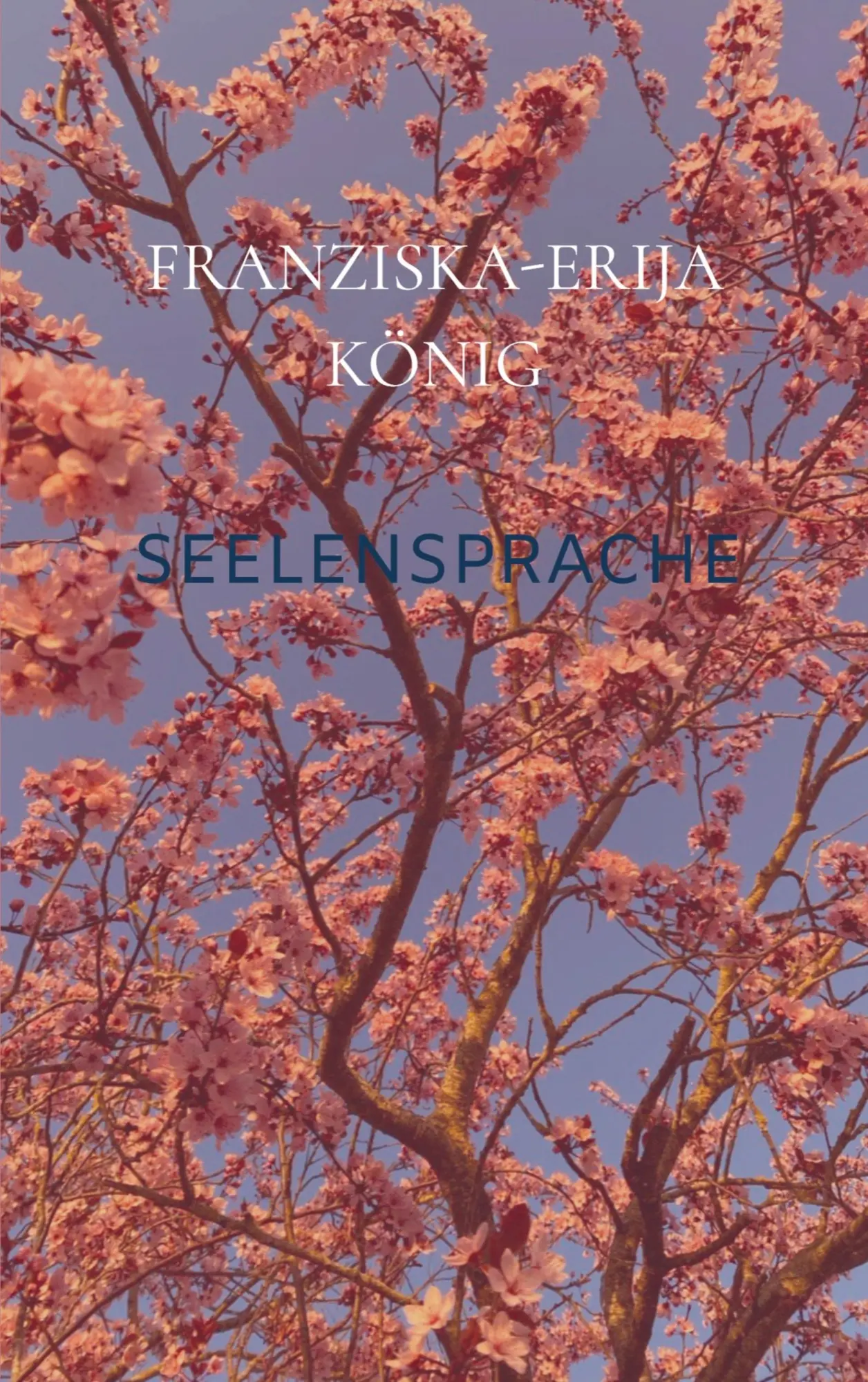 Cover: 9789403804743 | Seelensprache | Franziska-Erija König | Taschenbuch | 56 S. | Deutsch