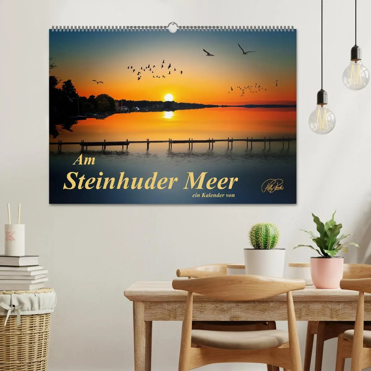 Bild: 9783516114843 | Am Steinhuder Meer (Wandkalender 2026 DIN A2 quer), CALVENDO...