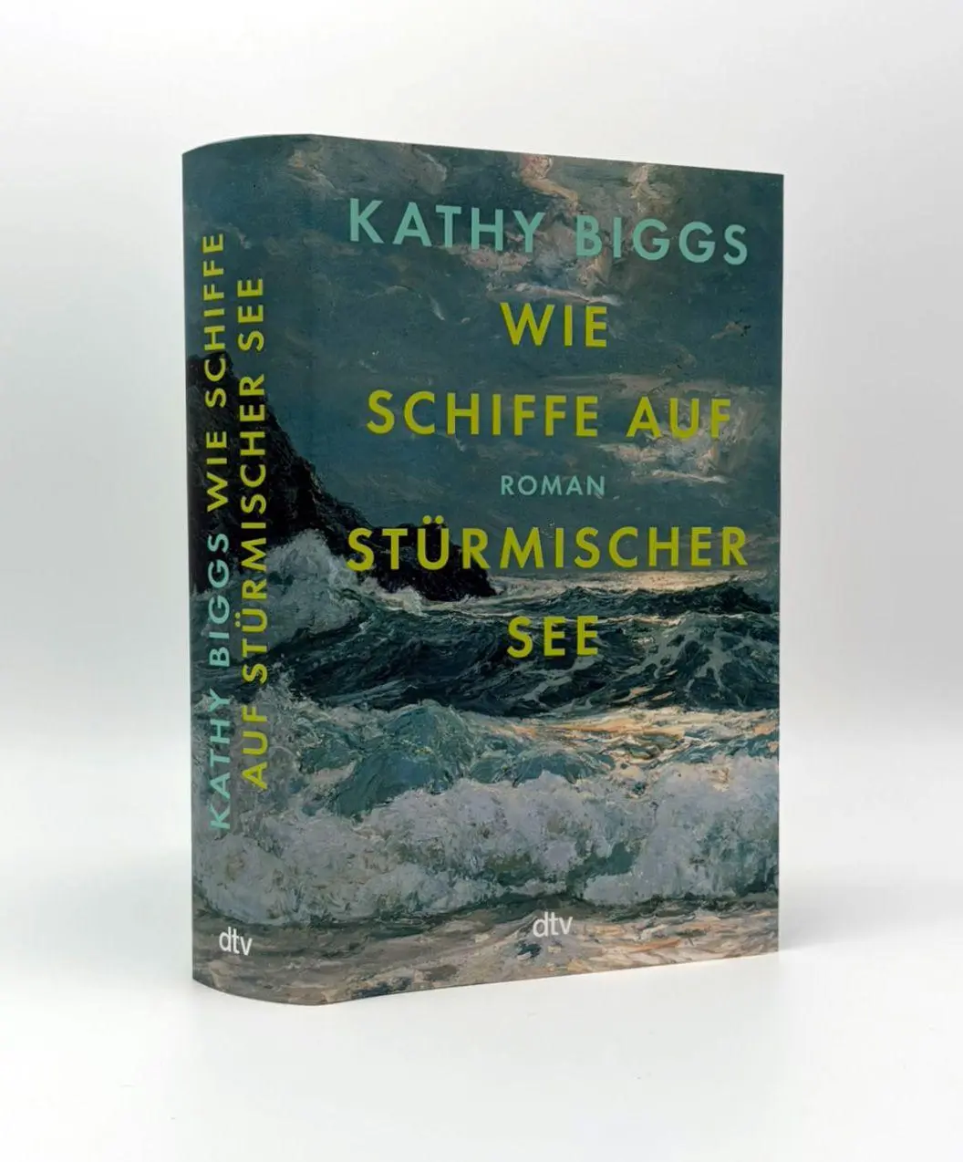 Bild: 9783423284943 | Wie Schiffe auf stürmischer See | Kathy Biggs | Buch | 400 S. | 2025