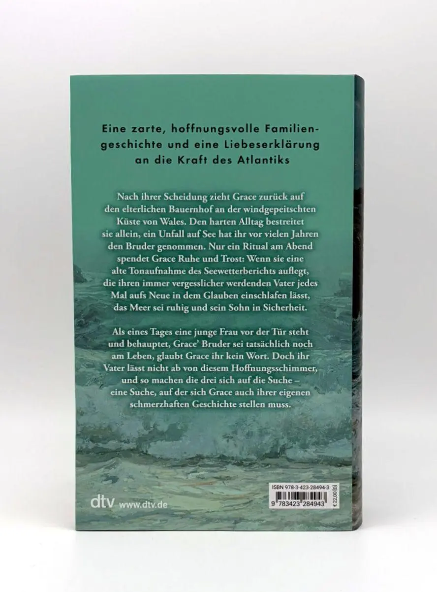 Bild: 9783423284943 | Wie Schiffe auf stürmischer See | Kathy Biggs | Buch | 400 S. | 2025