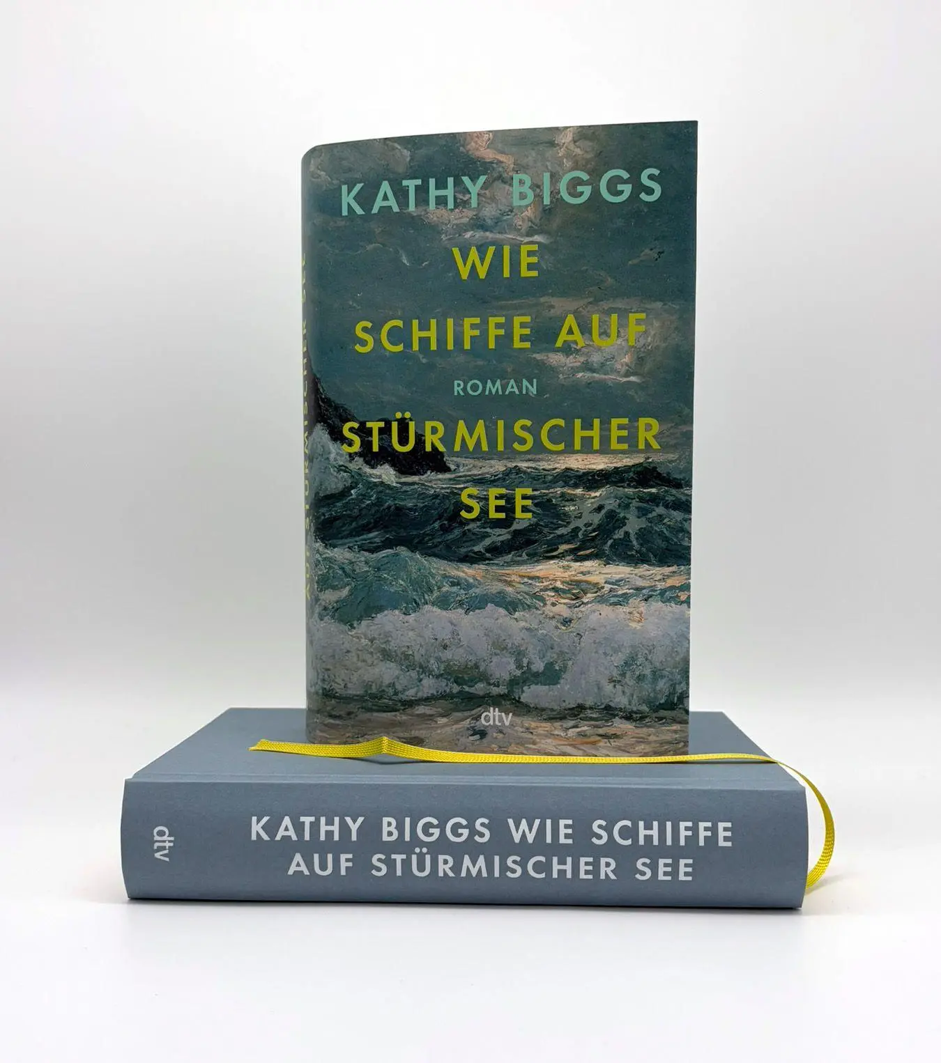 Bild: 9783423284943 | Wie Schiffe auf stürmischer See | Kathy Biggs | Buch | 400 S. | 2025