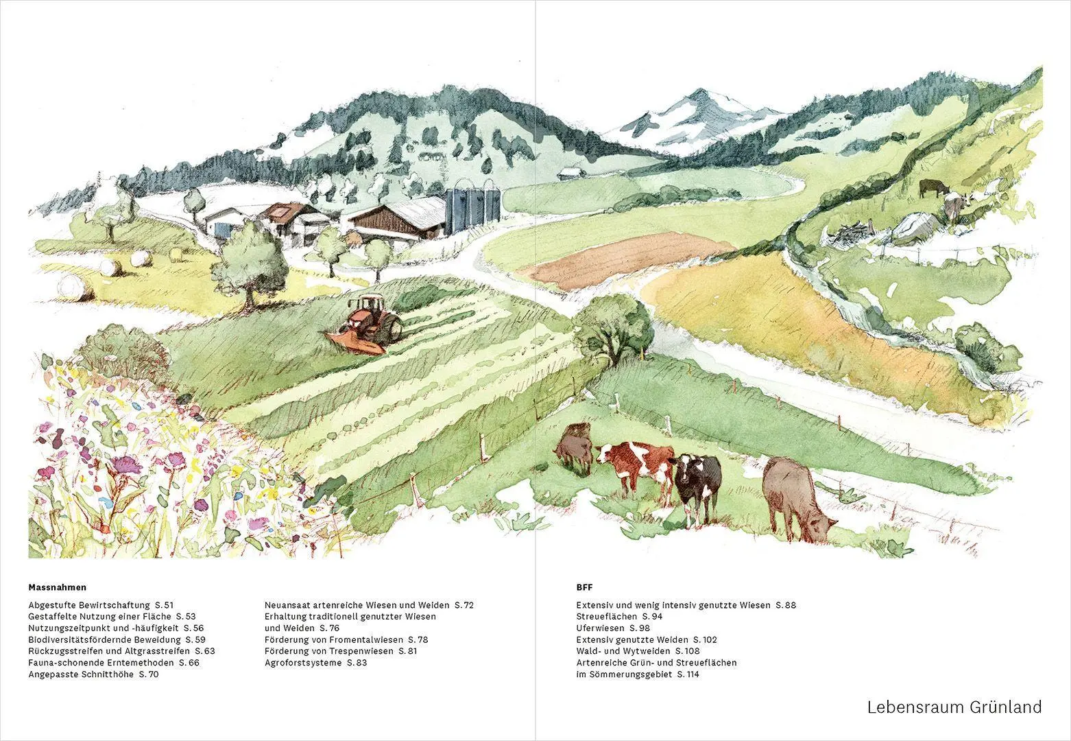Bild: 9783258085043 | Praxishandbuch Biodiversität in der Landwirtschaft | FiBL (u. a.)