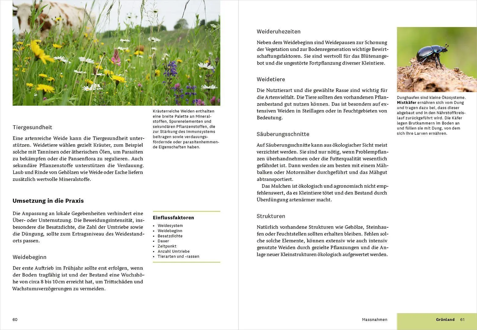 Bild: 9783258085043 | Praxishandbuch Biodiversität in der Landwirtschaft | FiBL (u. a.)