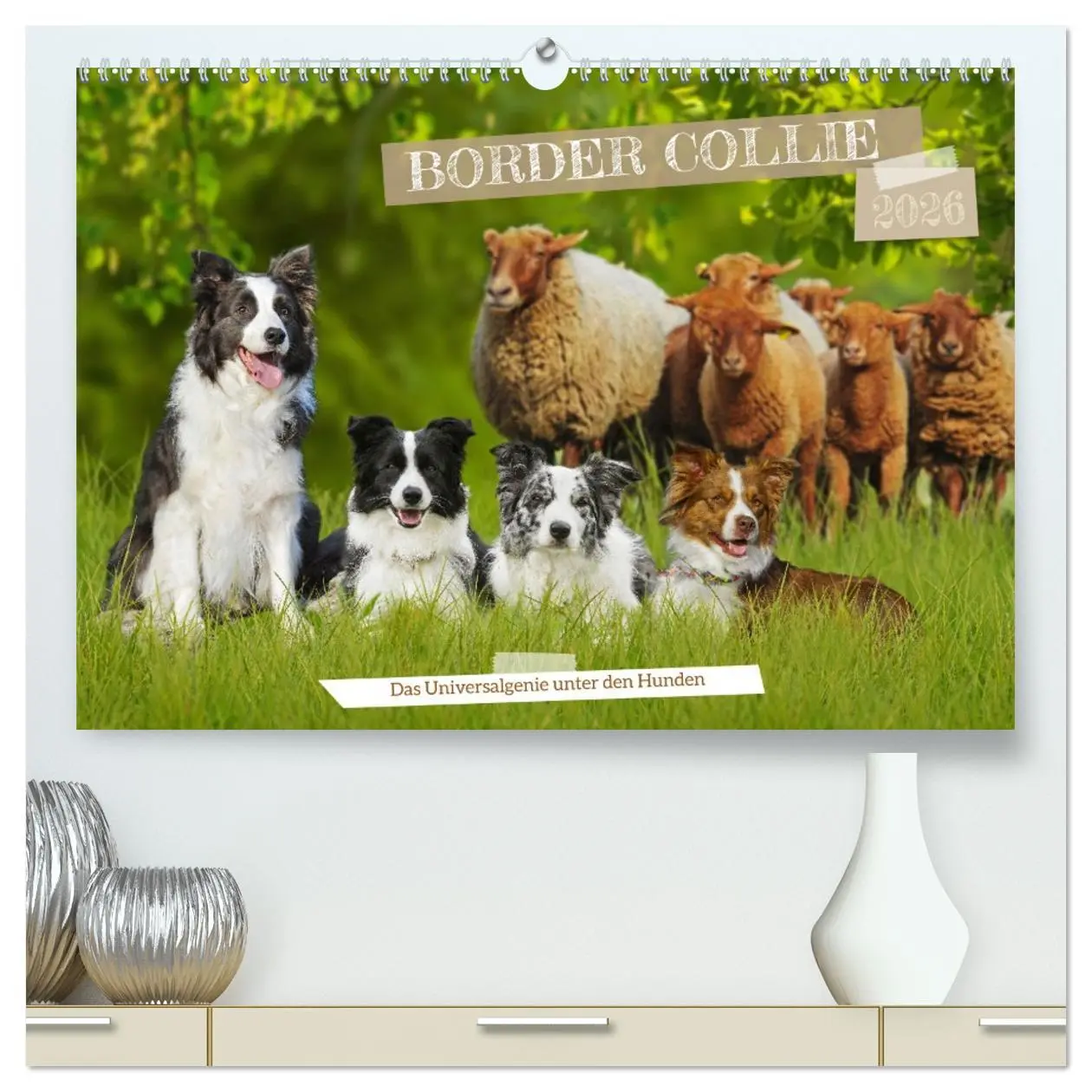 Cover: 9783457385043 | Border Collie - Das Universalgenie unter den Hunden (hochwertiger...