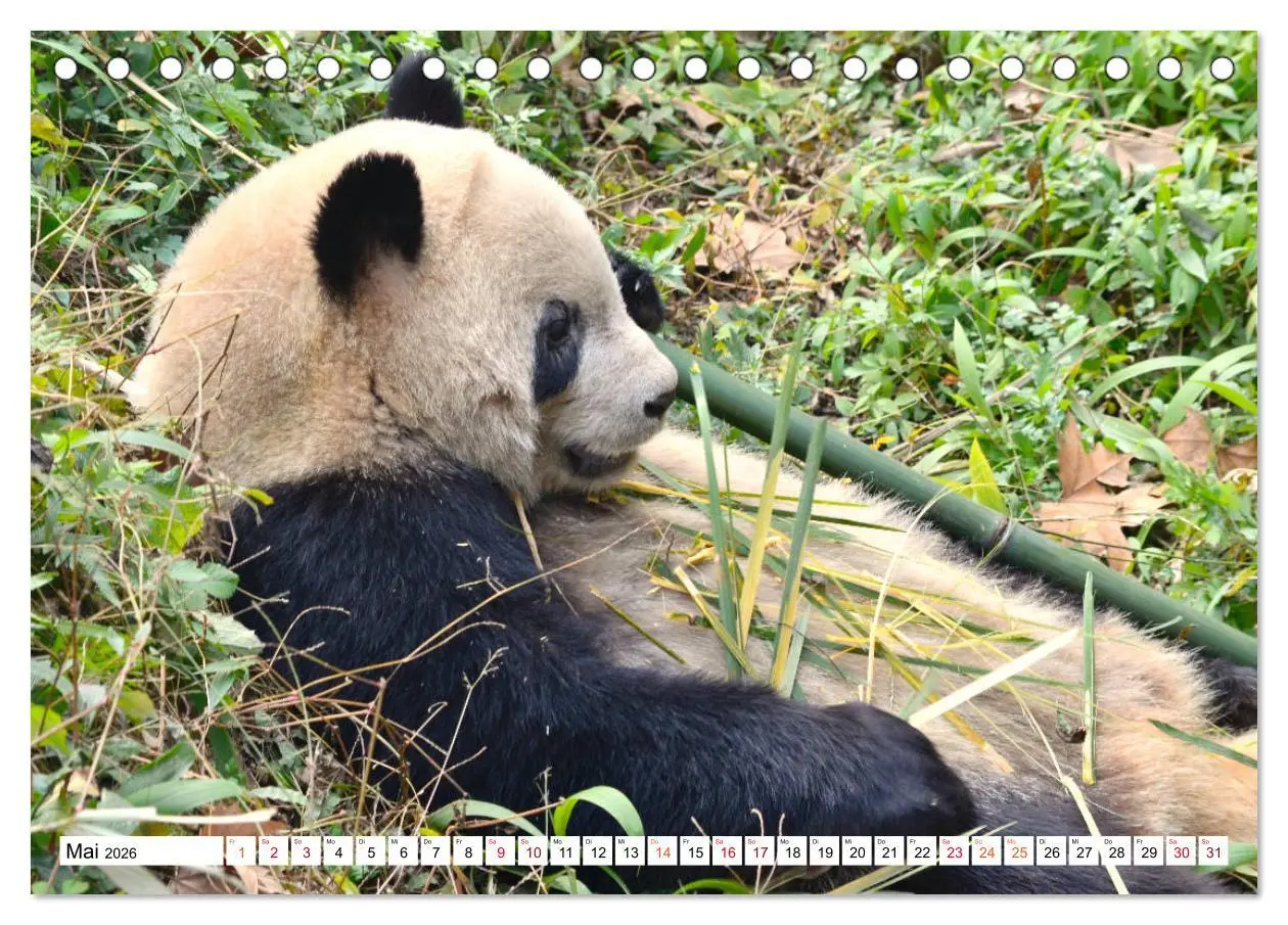 Bild: 9783457695043 | Märchenhaftes China (Tischkalender 2026 DIN A5 quer), CALVENDO...