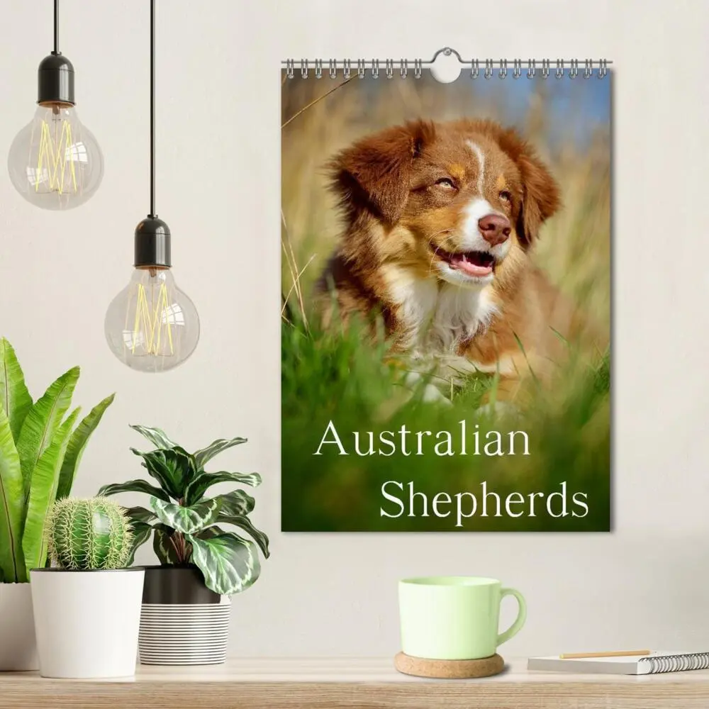 Bild: 9783457065143 | Australian Shepherds (Wandkalender 2025 DIN A4 hoch), CALVENDO...