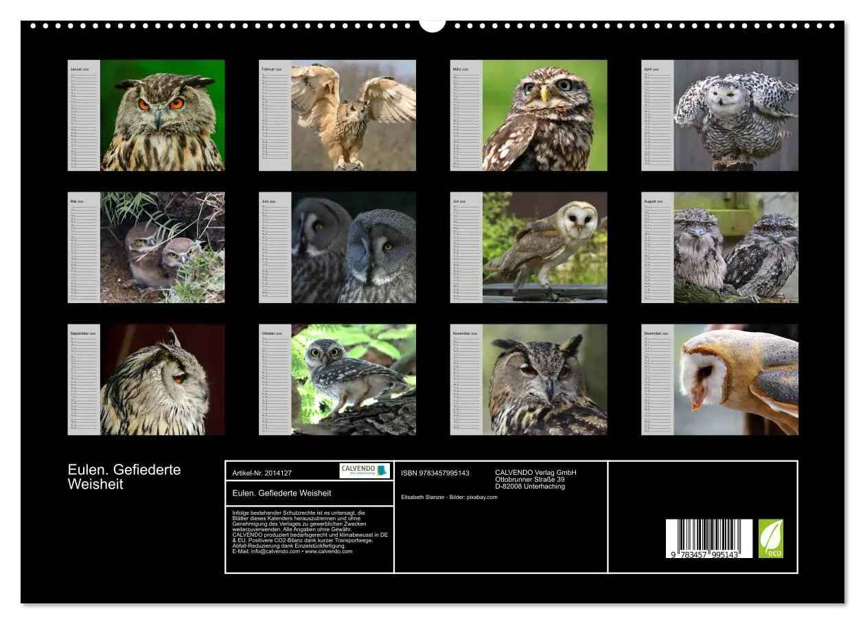 Bild: 9783457995143 | Eulen. Gefiederte Weisheit (hochwertiger Premium Wandkalender 2026...