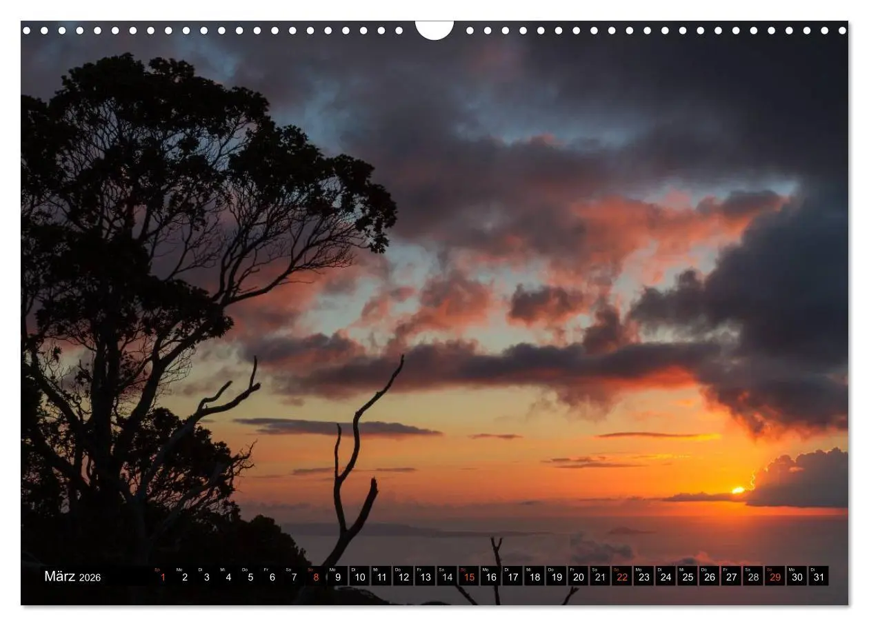 Bild: 9783516155143 | Hawai'i - Teil 2 (Wandkalender 2026 DIN A3 quer), CALVENDO...