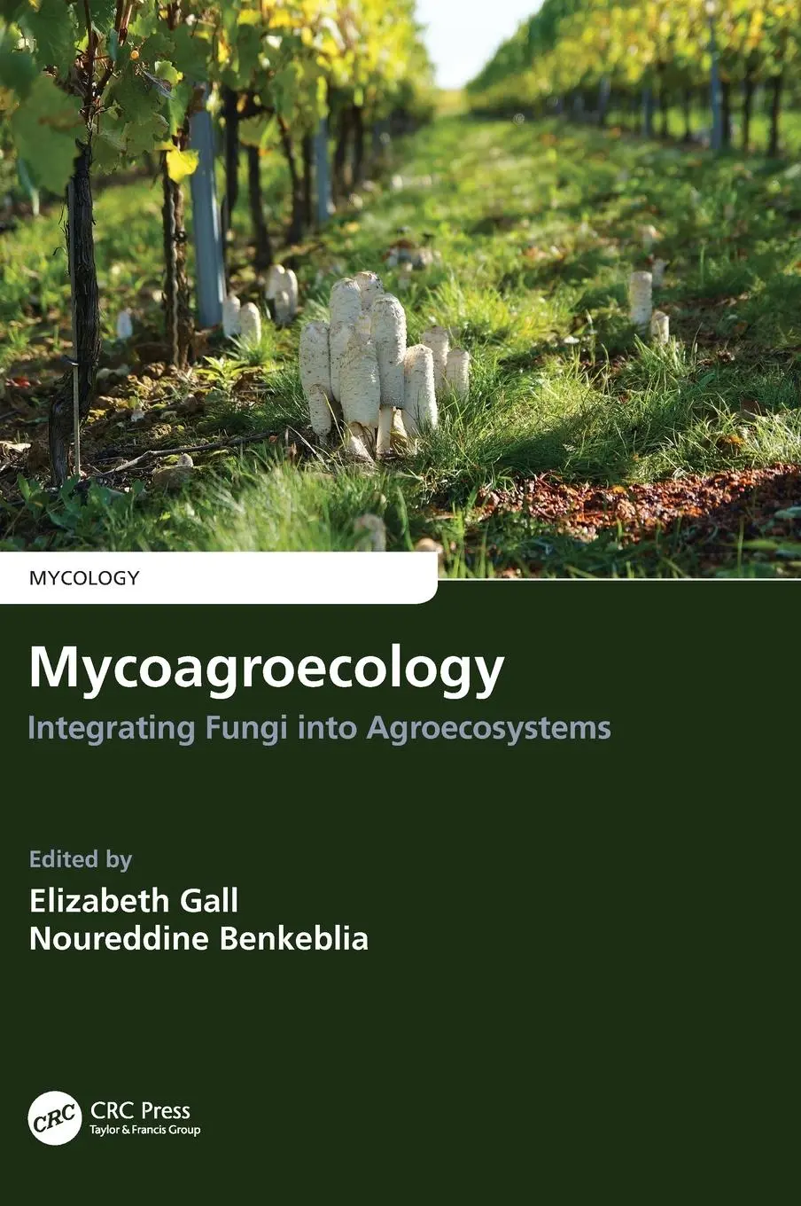 Cover: 9780367335243 | Mycoagroecology | Integrating Fungi into Agroecosystems | Gall (u. a.)