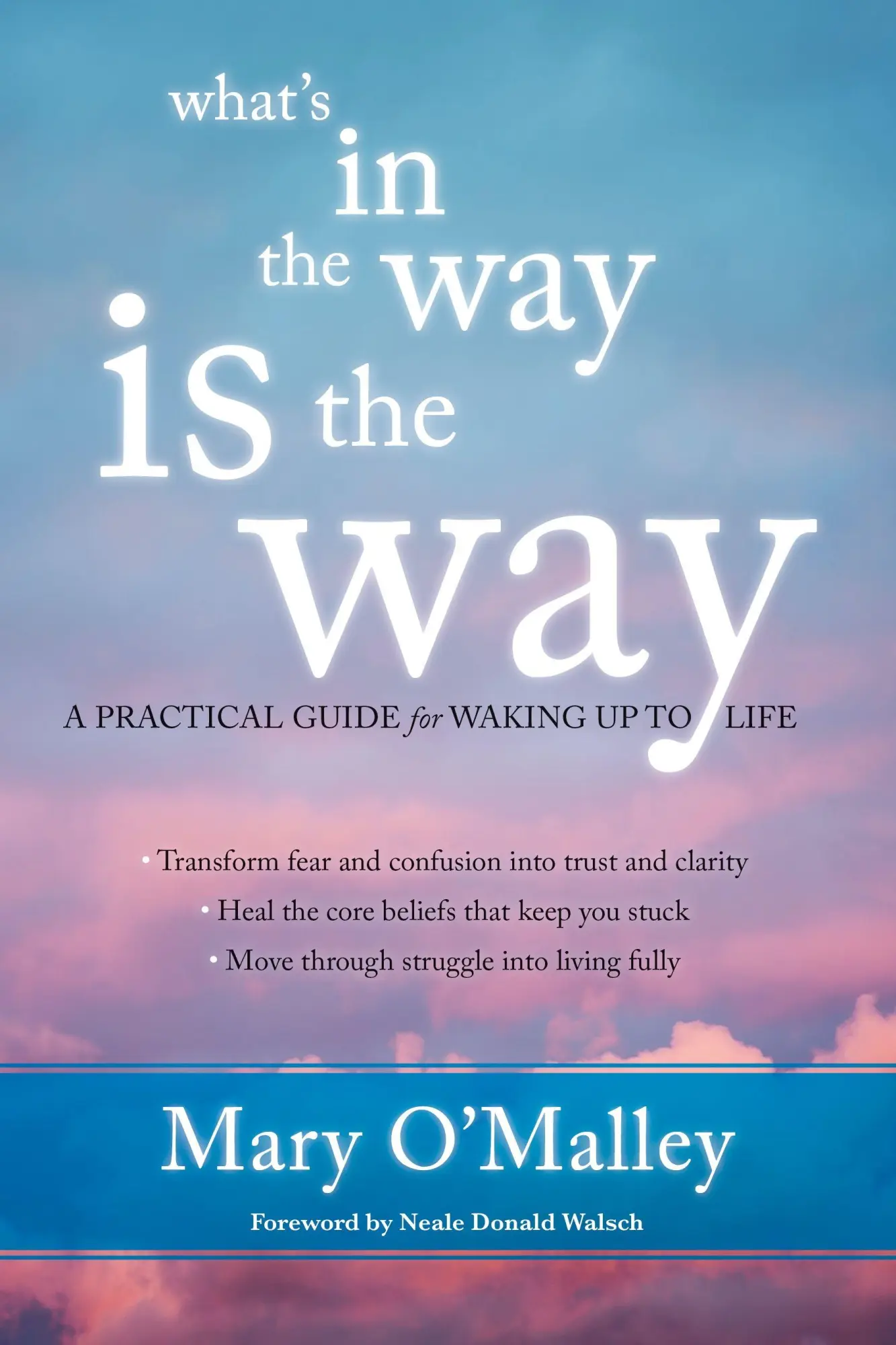 Cover: 9781622035243 | What's in the Way Is the Way | A Practical Guide for Waking Up to Life