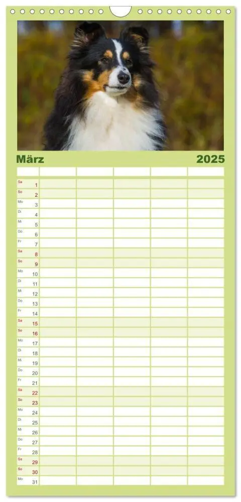 Bild: 9783457125243 | Familienplaner 2025 - Traumhund Sheltie mit 5 Spalten...