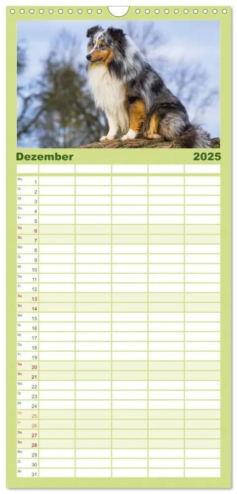 Bild: 9783457125243 | Familienplaner 2025 - Traumhund Sheltie mit 5 Spalten...