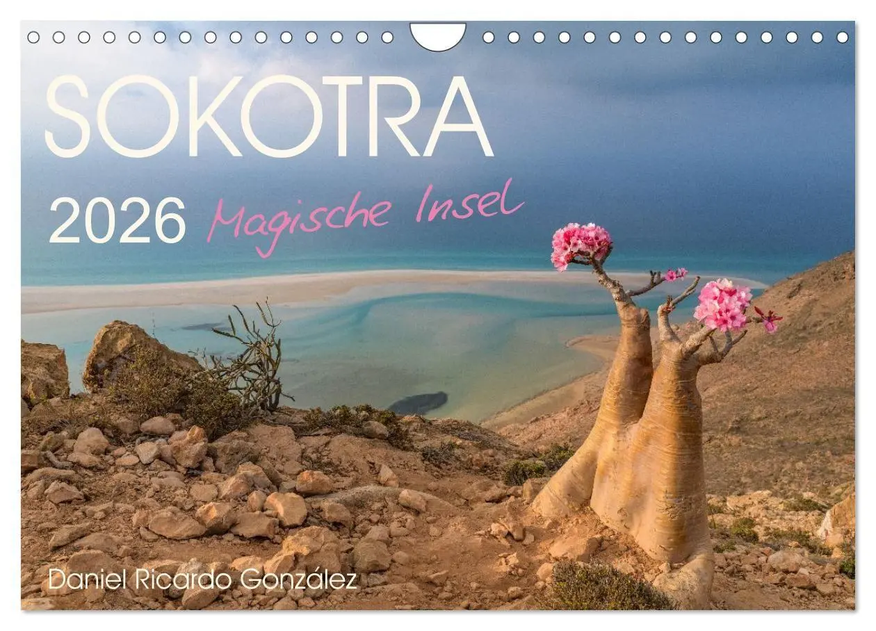 Cover: 9783516695243 | SOKOTRA - Magische Insel (Wandkalender 2026 DIN A4 quer), CALVENDO...