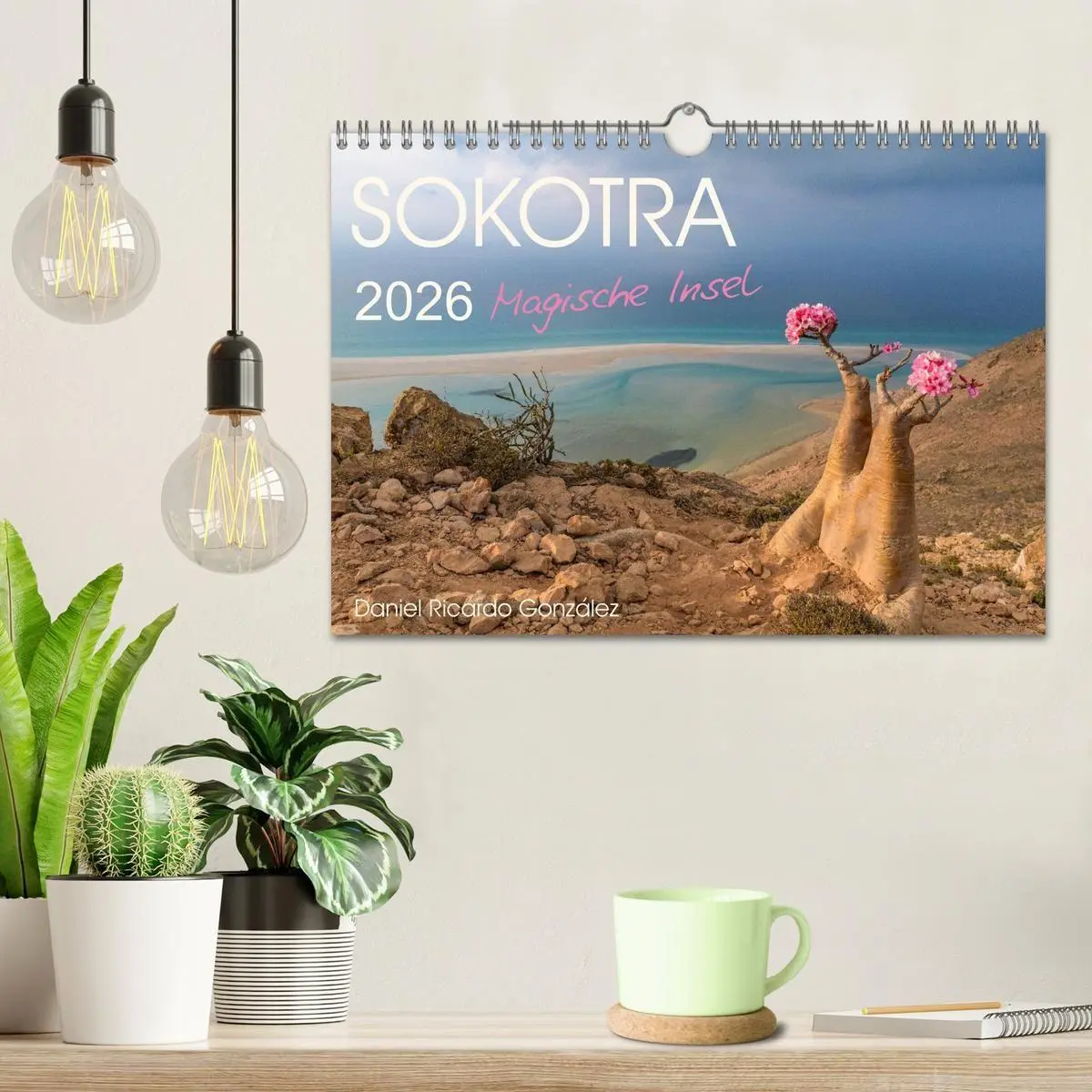 Bild: 9783516695243 | SOKOTRA - Magische Insel (Wandkalender 2026 DIN A4 quer), CALVENDO...