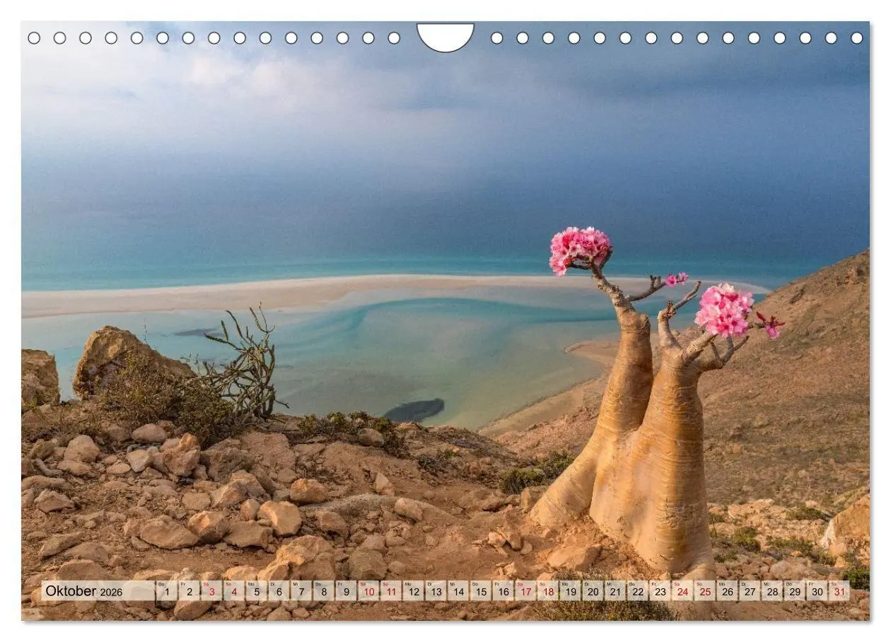 Bild: 9783516695243 | SOKOTRA - Magische Insel (Wandkalender 2026 DIN A4 quer), CALVENDO...