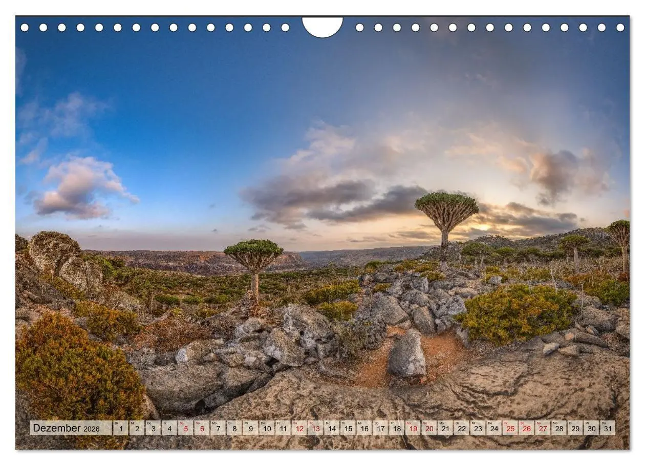 Bild: 9783516695243 | SOKOTRA - Magische Insel (Wandkalender 2026 DIN A4 quer), CALVENDO...
