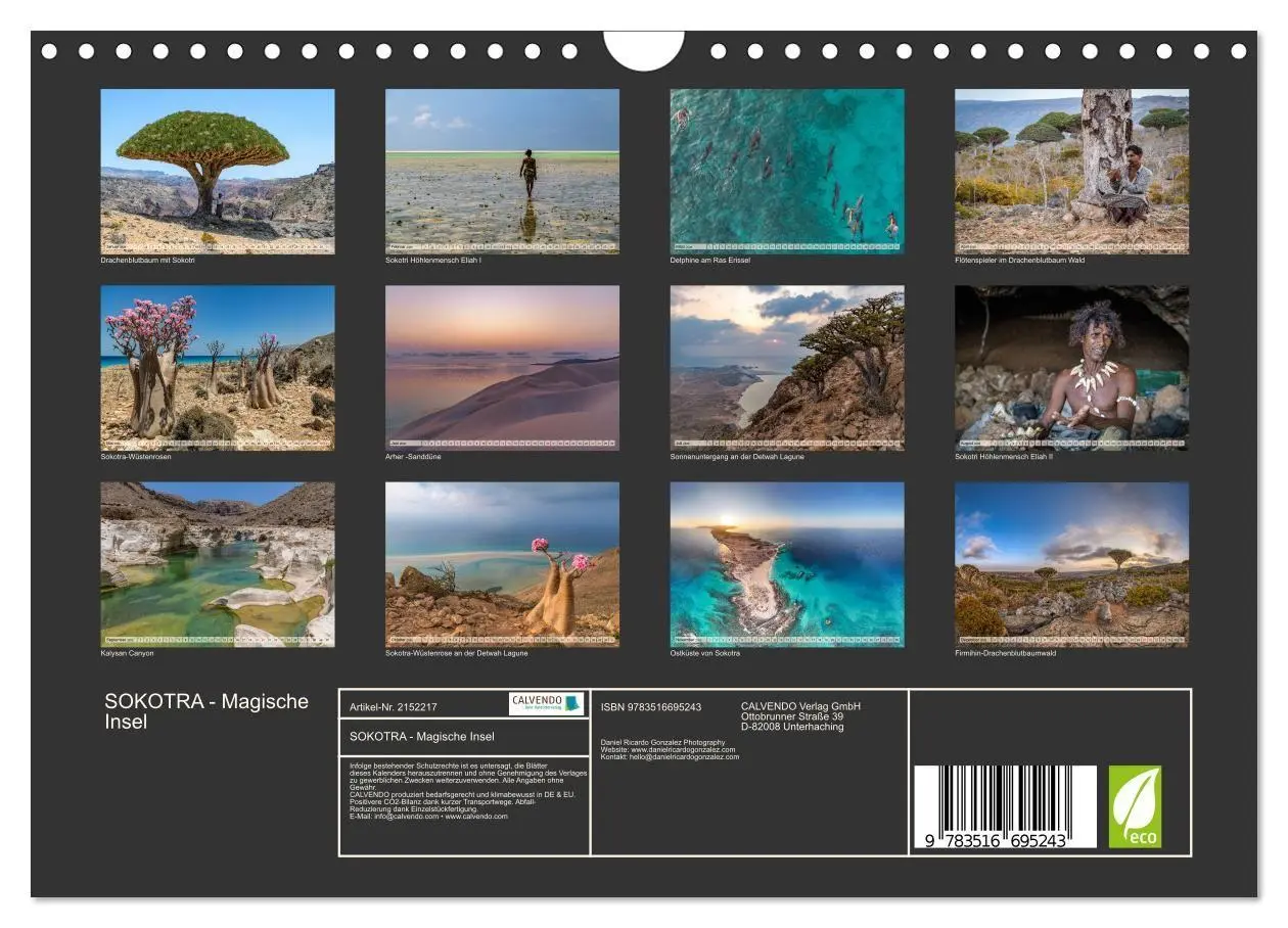 Bild: 9783516695243 | SOKOTRA - Magische Insel (Wandkalender 2026 DIN A4 quer), CALVENDO...