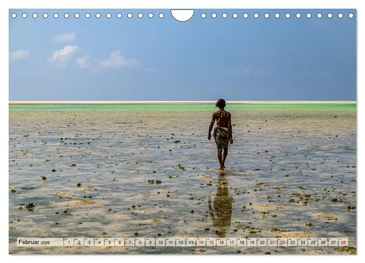 Bild: 9783516695243 | SOKOTRA - Magische Insel (Wandkalender 2026 DIN A4 quer), CALVENDO...