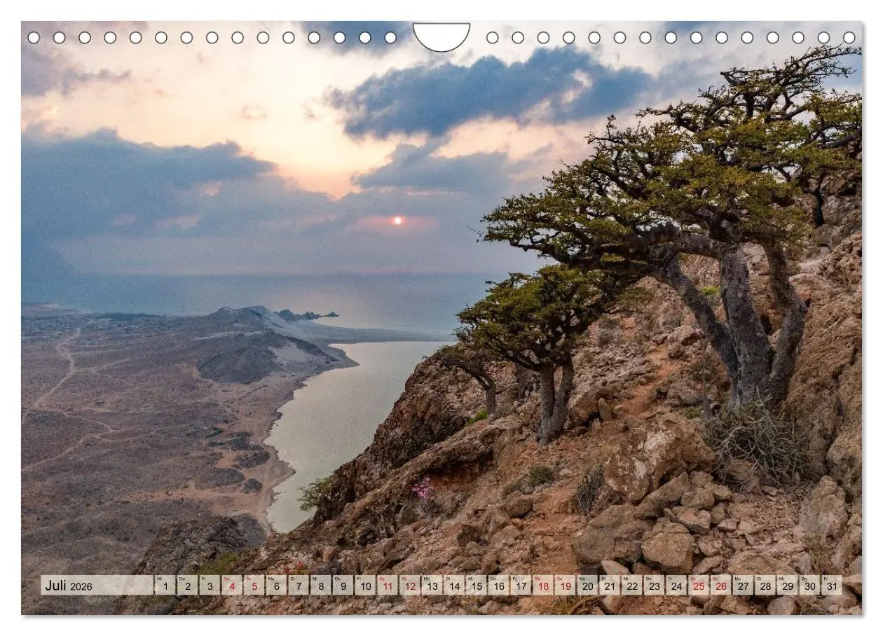 Bild: 9783516695243 | SOKOTRA - Magische Insel (Wandkalender 2026 DIN A4 quer), CALVENDO...