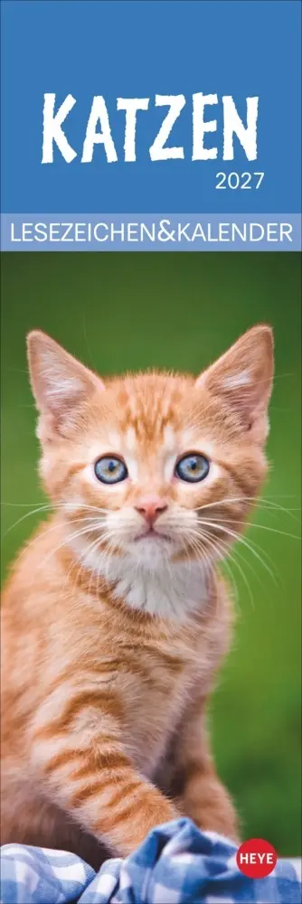 Cover: 9783756415243 | Katzen Lesezeichen &amp; Kalender 2027 | Kalender | Geblockt | 13 S.