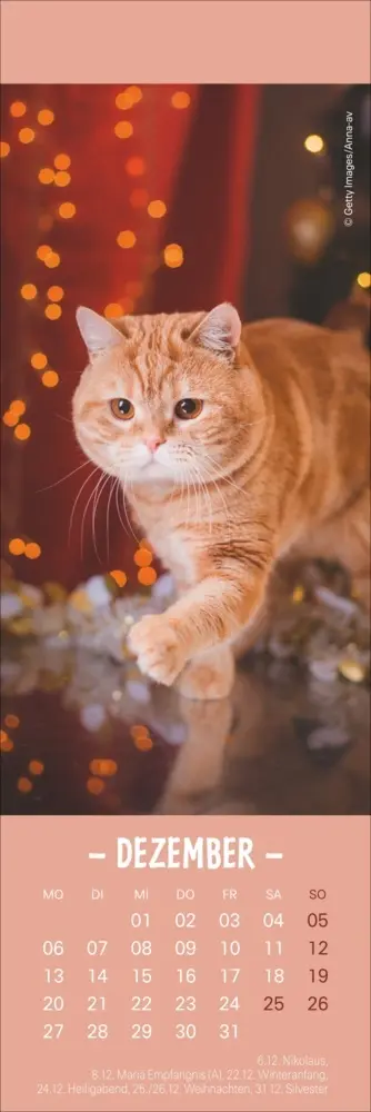 Bild: 9783756415243 | Katzen Lesezeichen &amp; Kalender 2027 | Kalender | Geblockt | 13 S.
