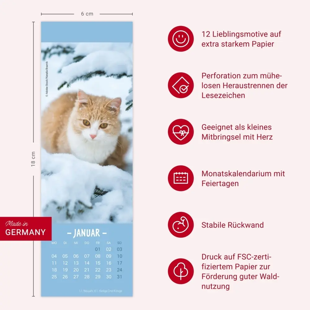 Bild: 9783756415243 | Katzen Lesezeichen &amp; Kalender 2027 | Kalender | Geblockt | 13 S.