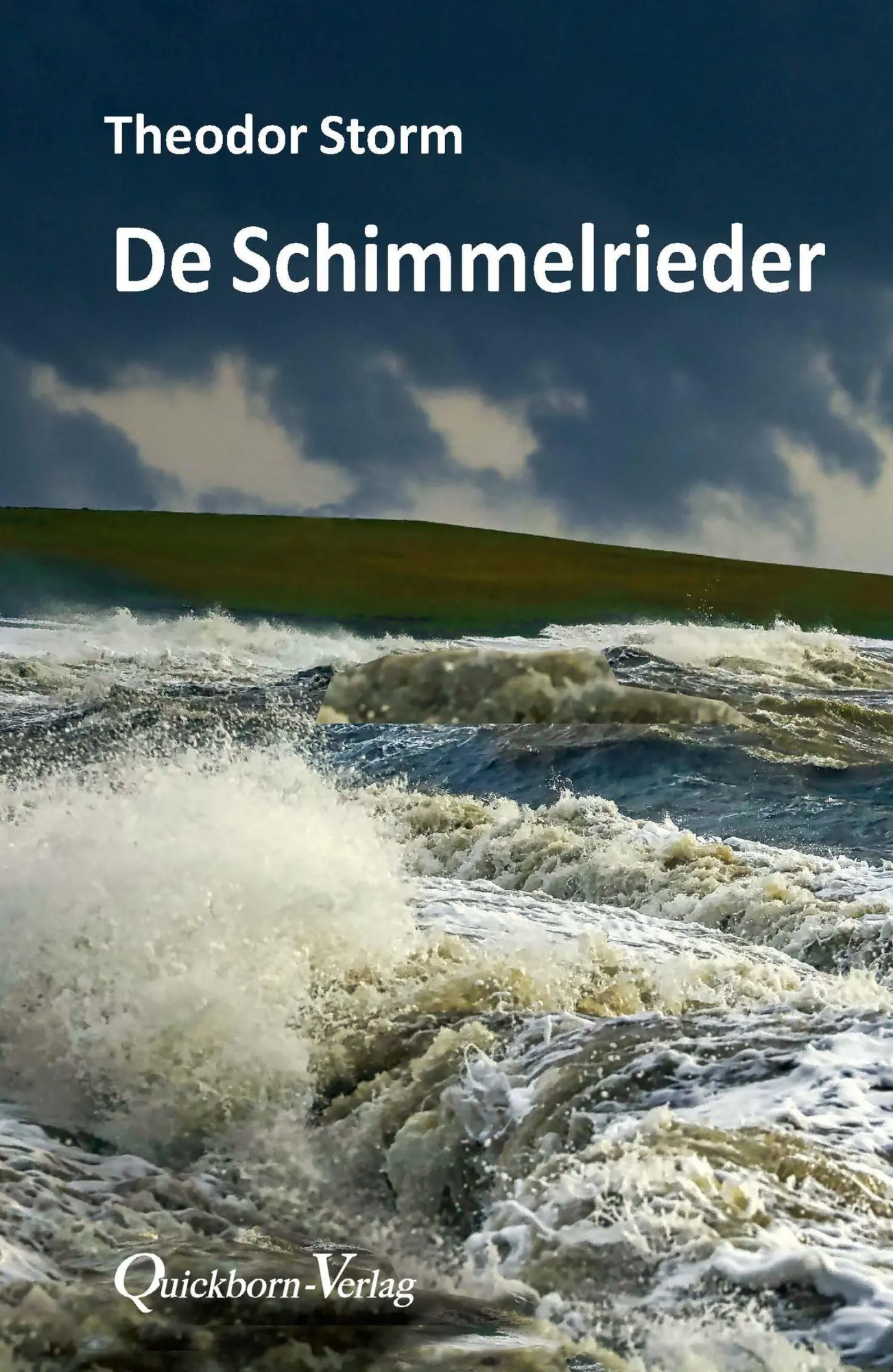 Cover: 9783876515243 | De Schimmelrieder | op plattdüütsch | Theodor Storm | Taschenbuch | ?