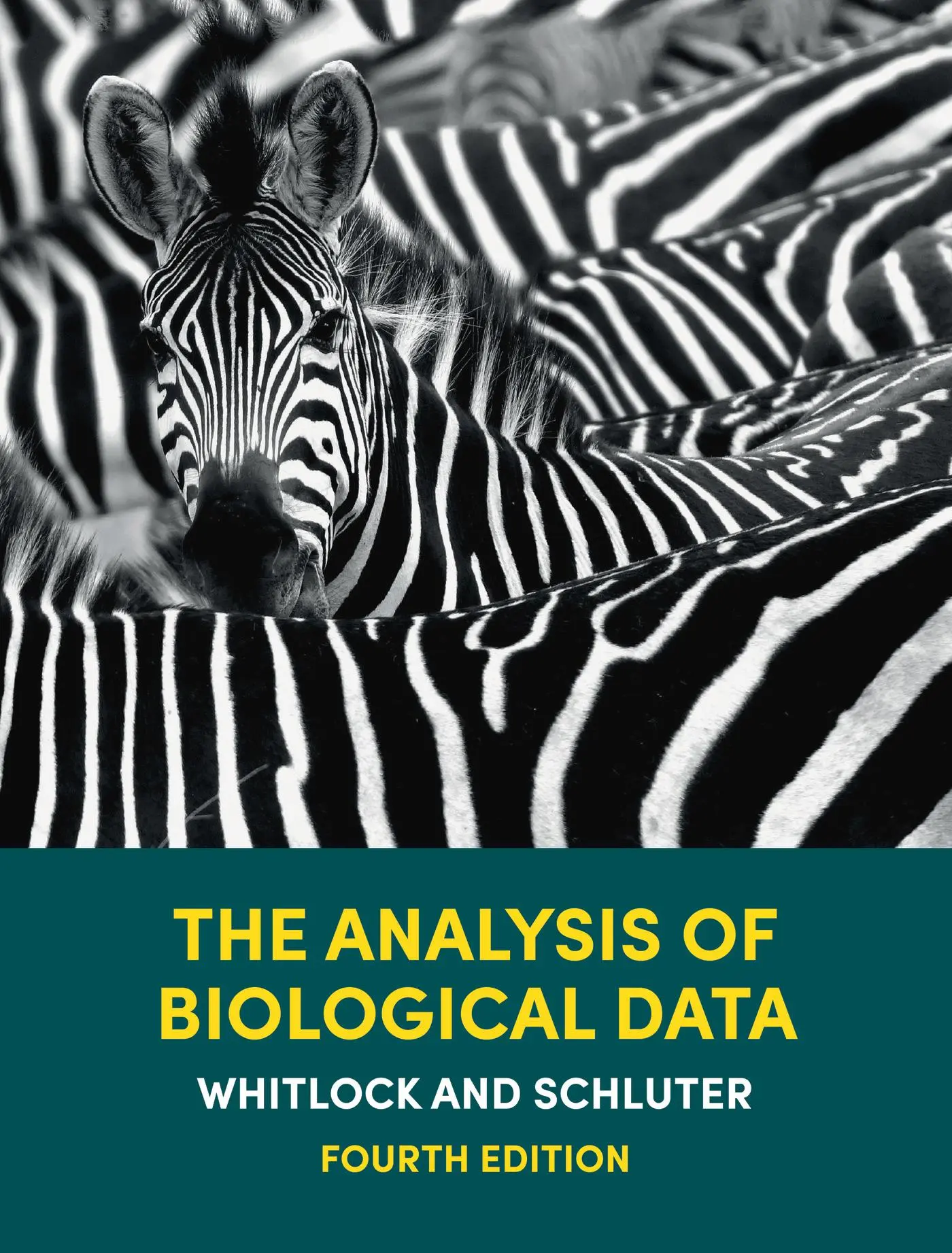 Cover: 9781319325343 | The Analysis of Biological Data (International Edition) | Buch | 2020